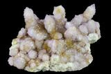 Cactus Quartz (Amethyst) Crystal Cluster - South Africa #132531-4